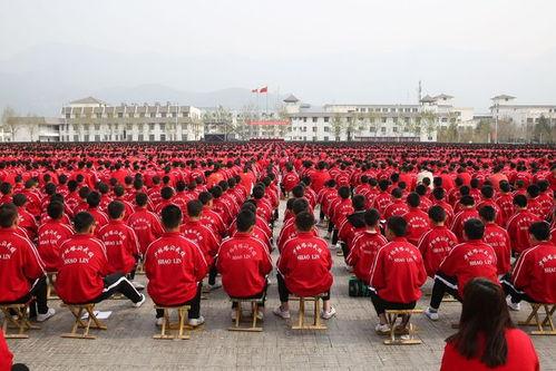 塔沟武校爆料案件最新,揭开校园暴力背后的真相  第1张